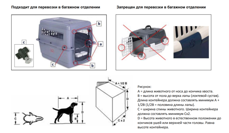 Размеры переноски для кошек в самолете s7