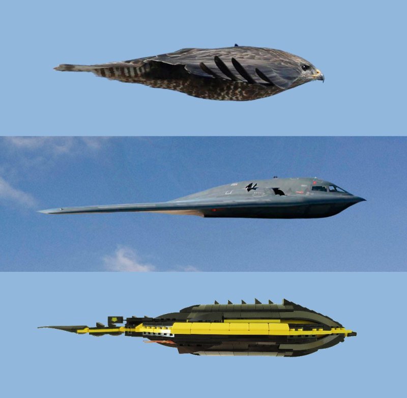 B-2 Spirit сбоку