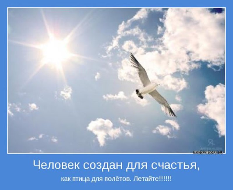 Фразы о полете
