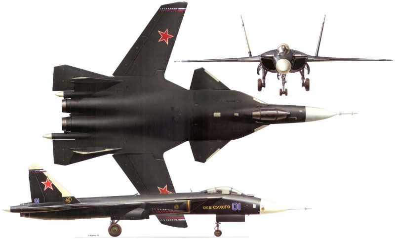 Самолет с обратной стреловидностью крыла Су-47