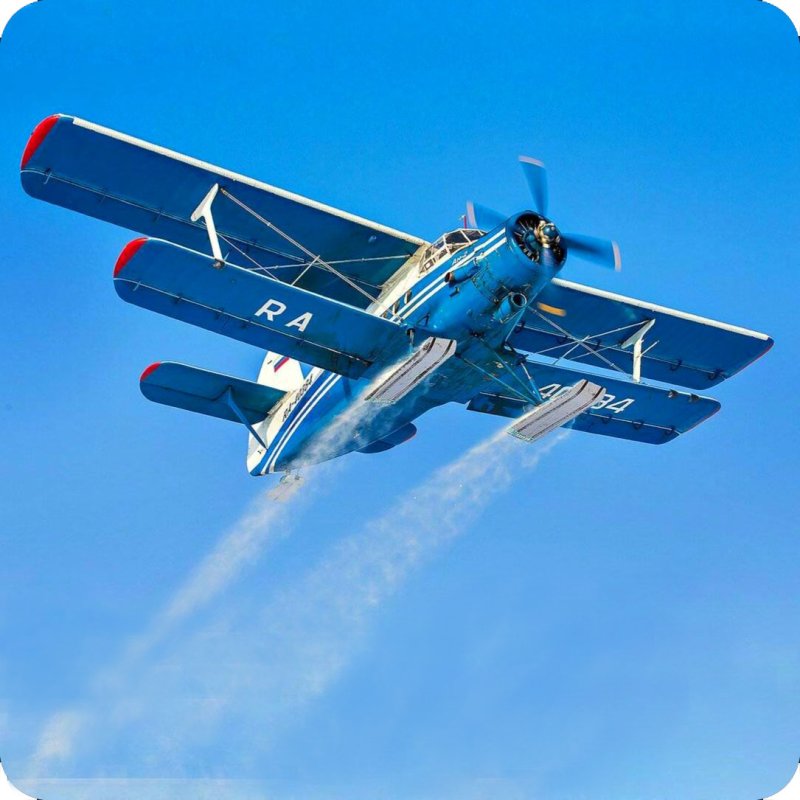 АН-2 экранолет