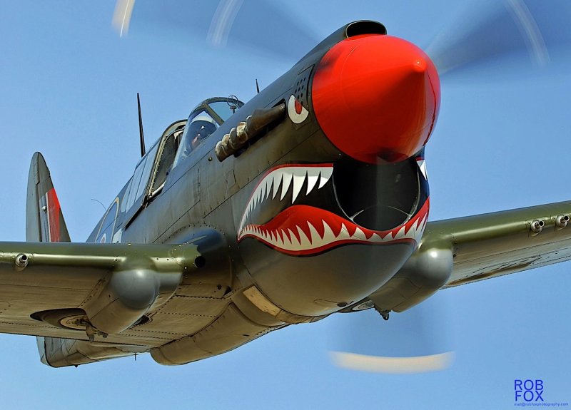 Curtiss p-40 Kittyhawk