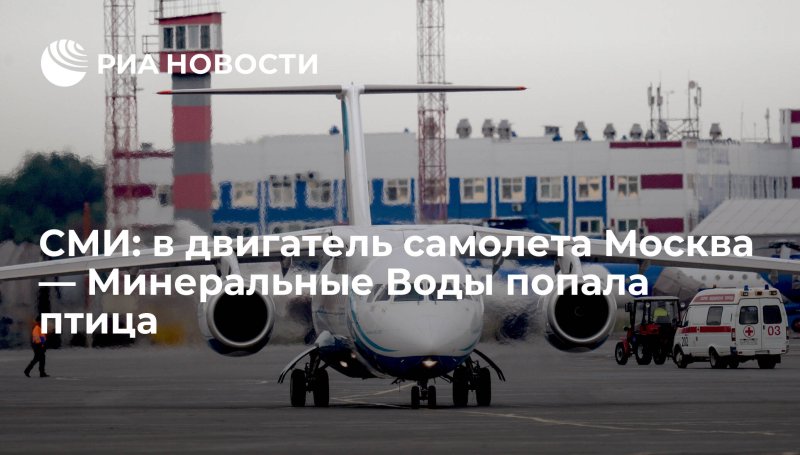 Автобус Москва Минеральные воды