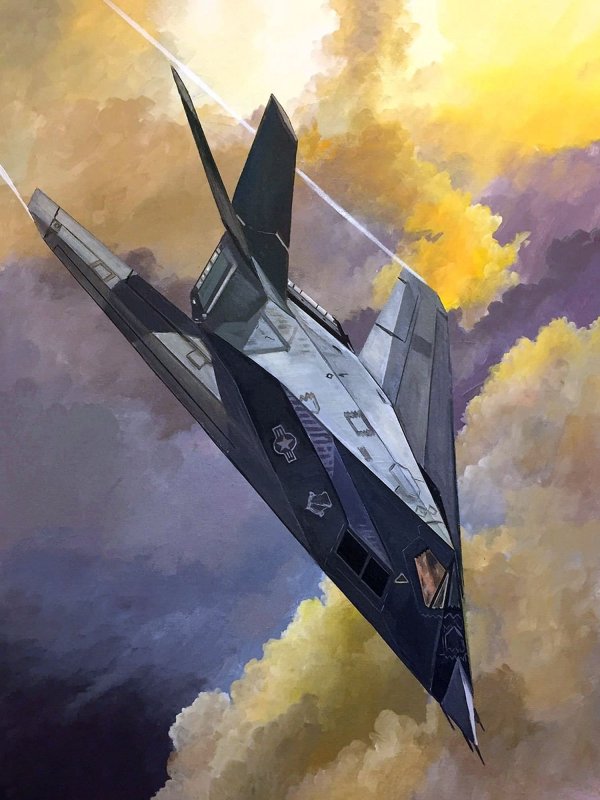 Самолет стелс 2020