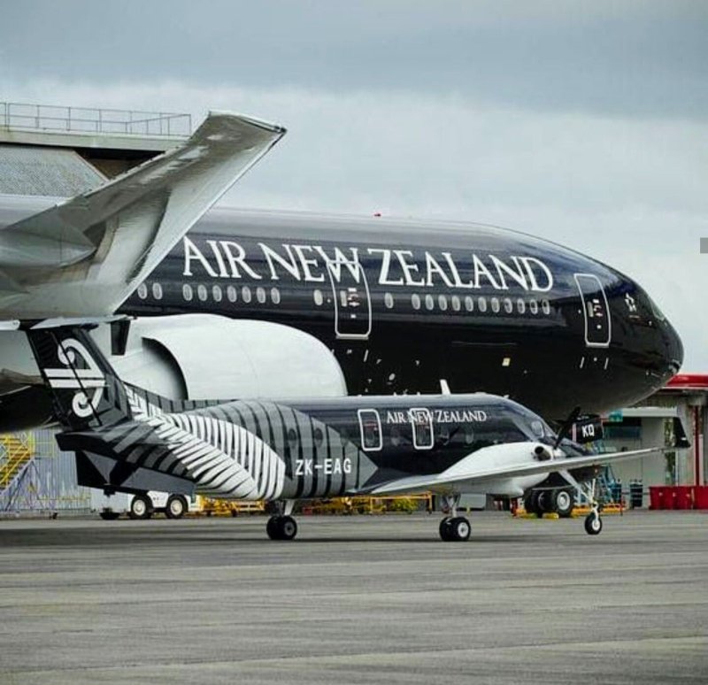 Боинг 787 New Zealand