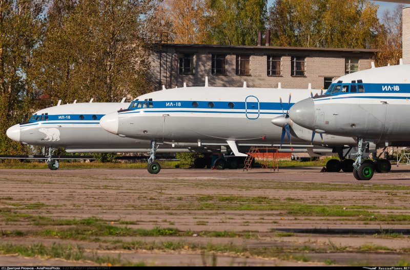 RF-75317