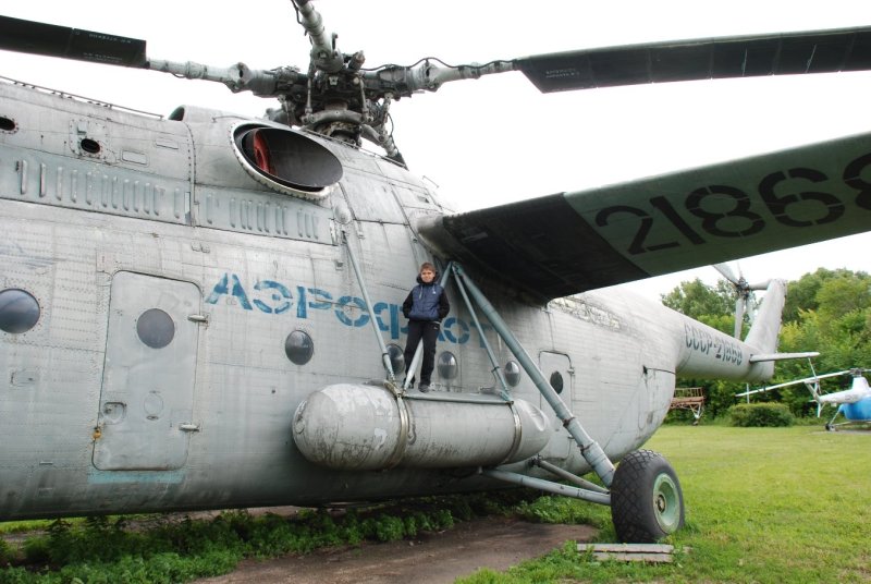 Ми-6 вертолёт вертолёты корова