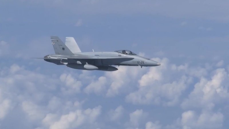 Истребители стран НАТО F 18