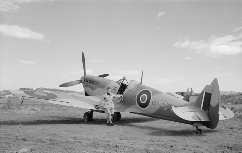FW 239