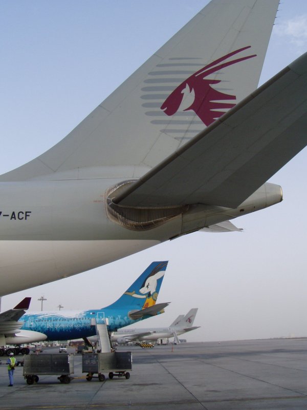 Qatar Airways 319