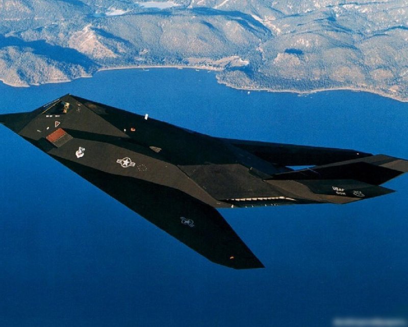 F 117 Remora