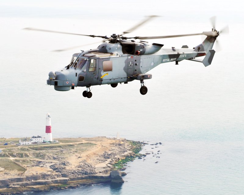 Wildcat ah1 hma2