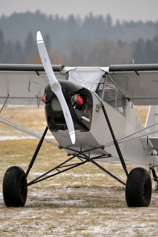 Stol Bush plane