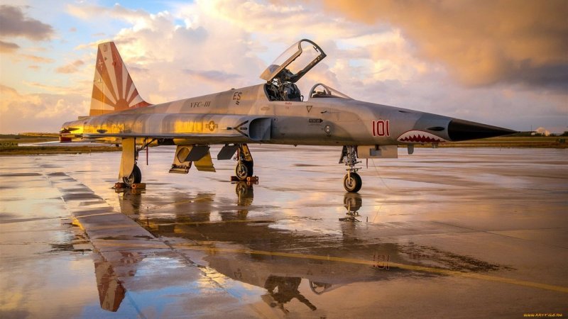 Самолет ф-5 Тайгер