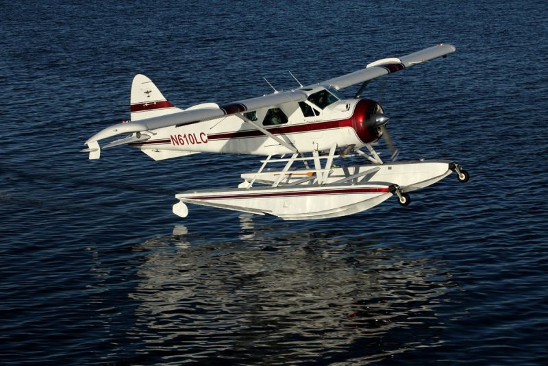 De Havilland DHC-2