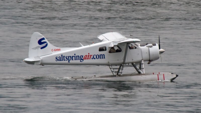 De Havilland Canada DHC-2 beaver