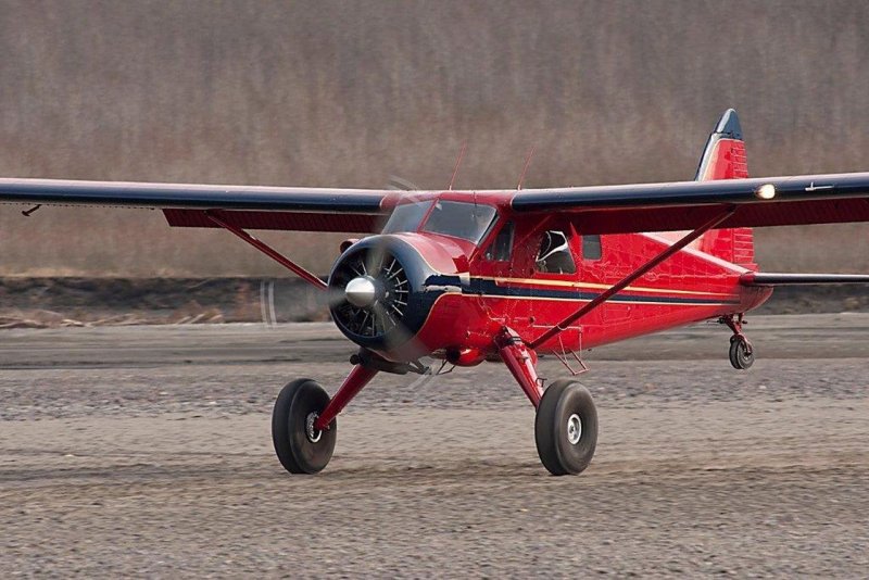 Havilland beaver
