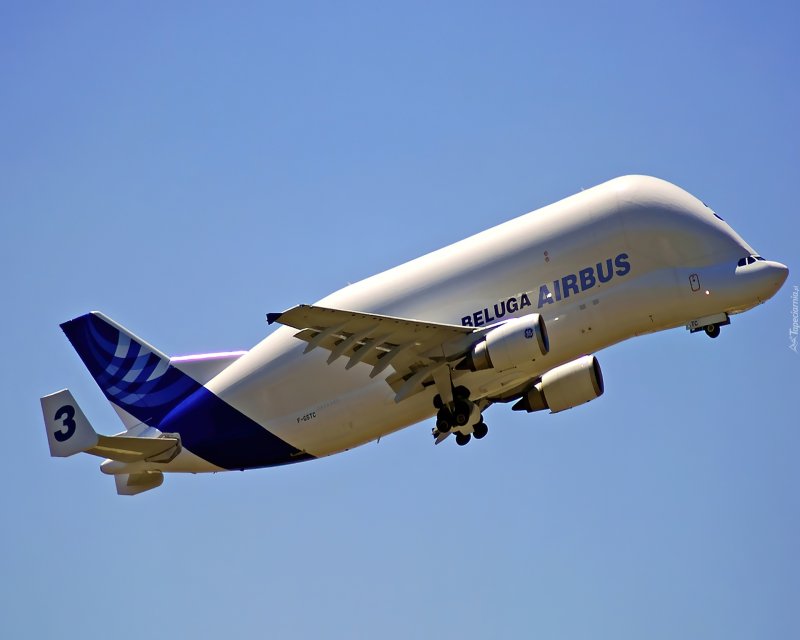 Airbus a300 грузовой