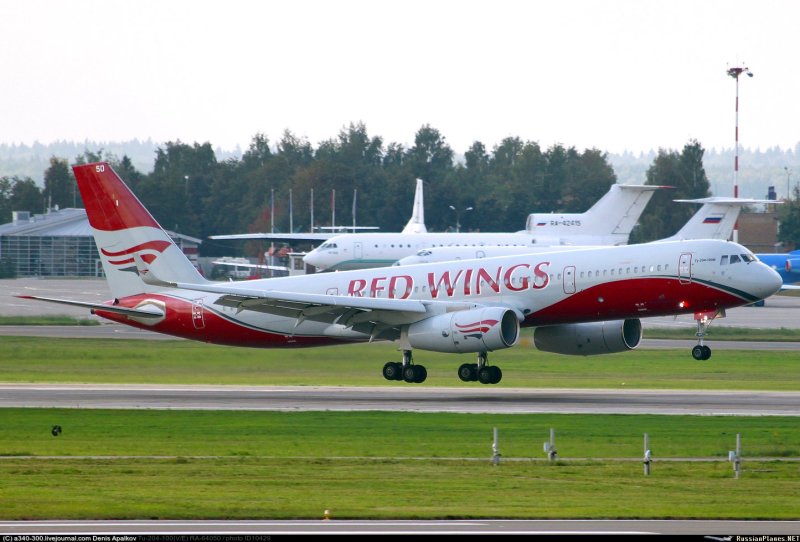 Red Wings wz704