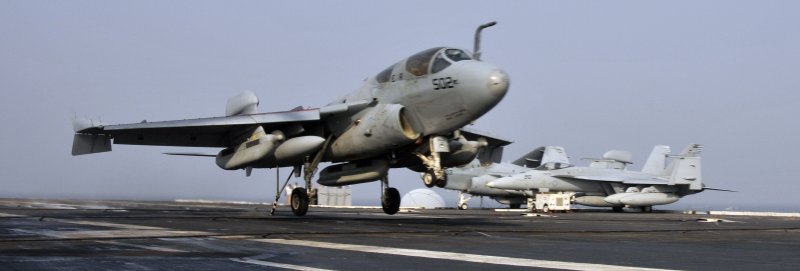 32-Й эскадрильи радиоэлектронного противодействия (VAQ-132)