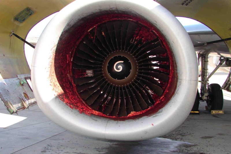 Самолёт Боинг 737 турбины