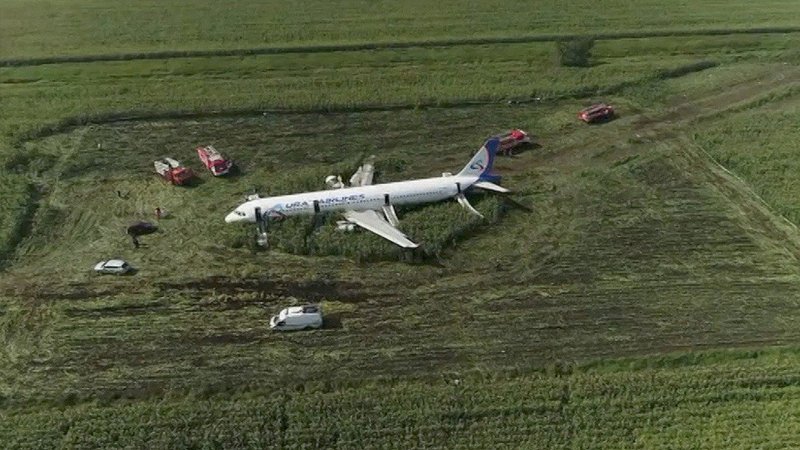 Аэробус 321 кукурузное поле
