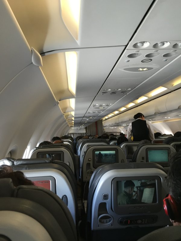 Аэробус а319 (319)