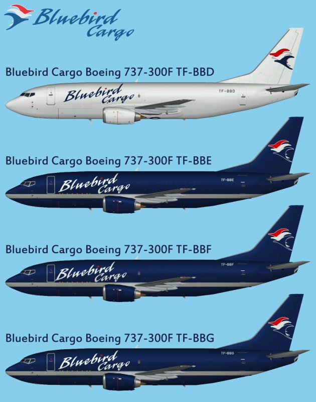 Боинг 737 грузовой
