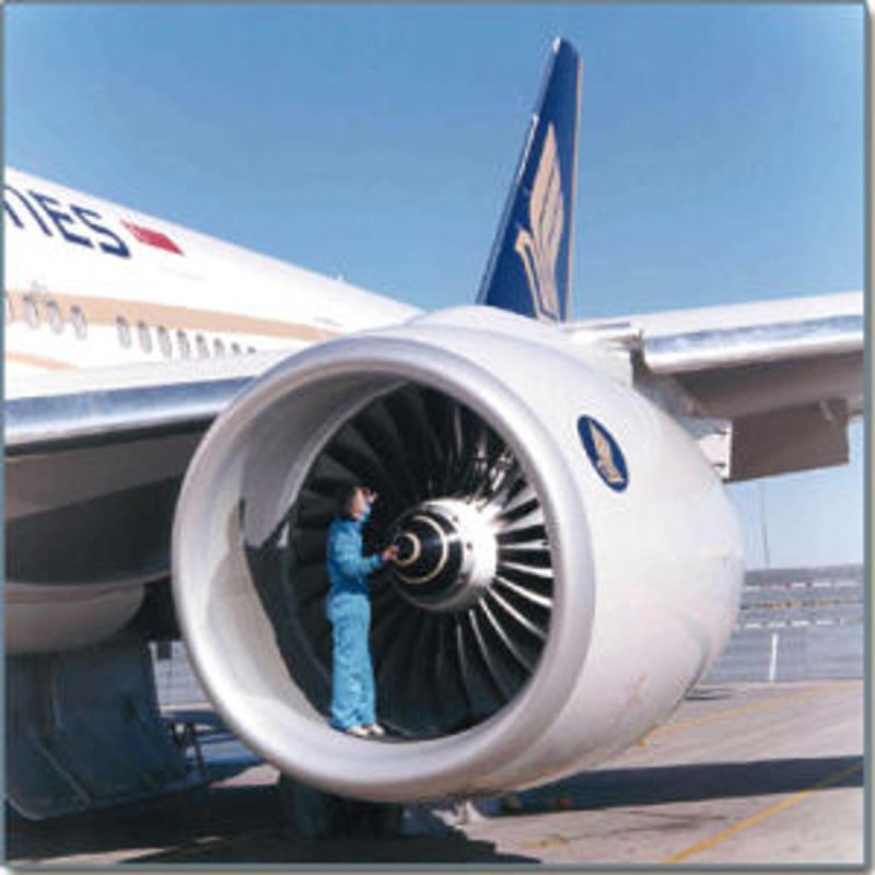RR Trent 800