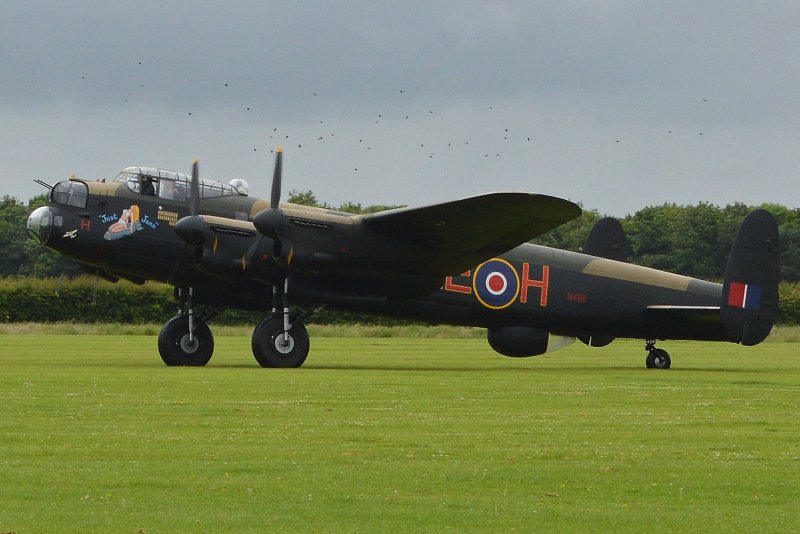 Avro 135