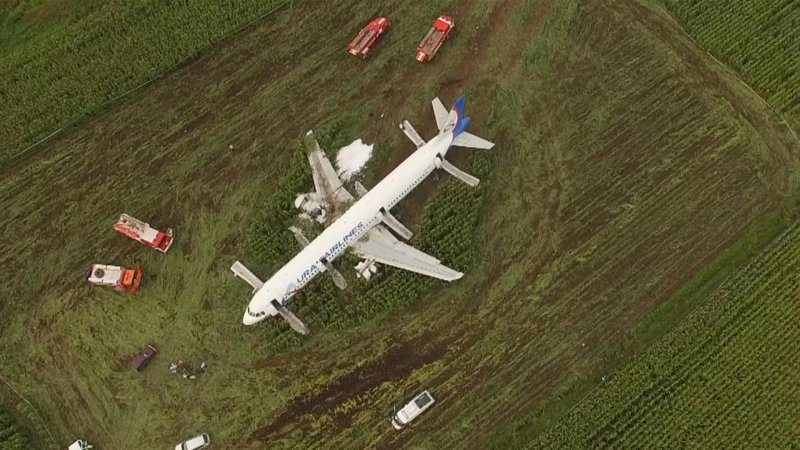 На кукурузном поле Airbus a321