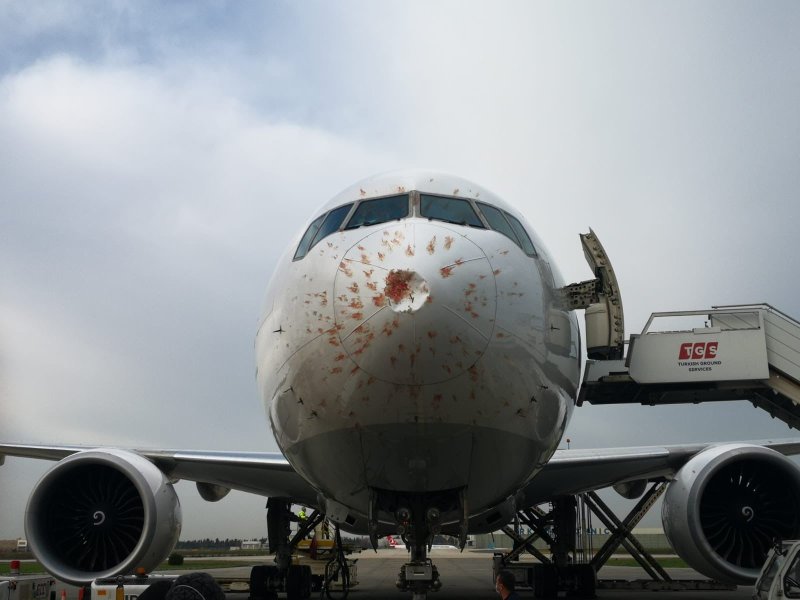 Боинг 777 грузовой