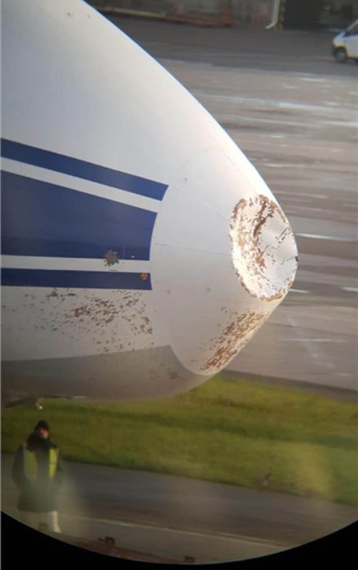 АН-124 В который попала молния