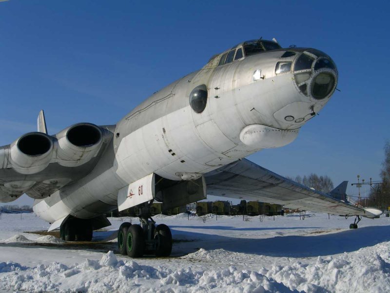 Самолет Бизон Мясищева