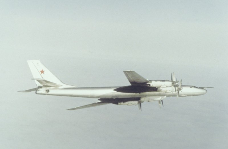 Окраска ту- 95 морской авиации