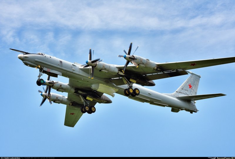 Самолёт ту-142 противолодочный Дальний