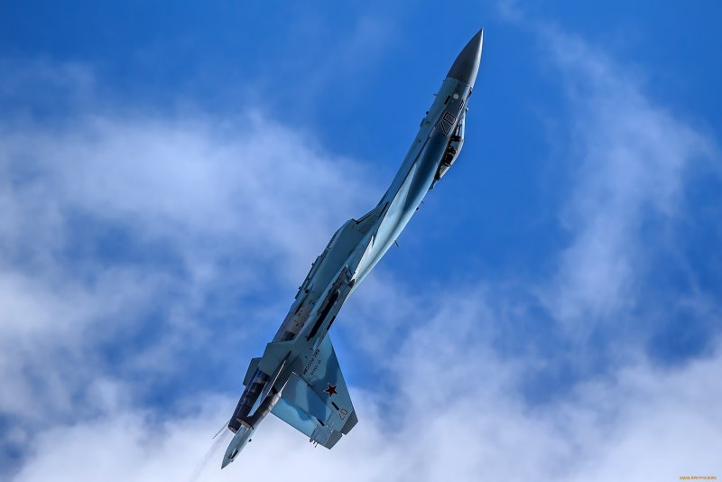 Су 35 Кобра Пугачева