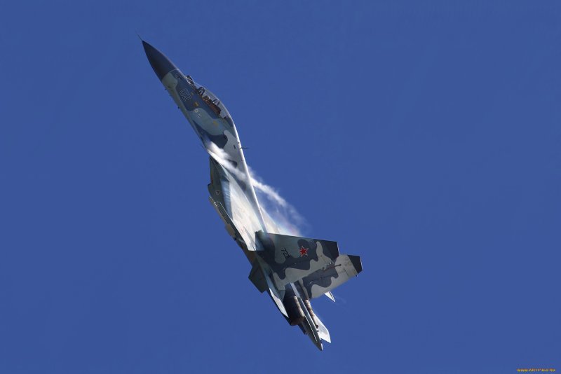 Су 27 Кобра
