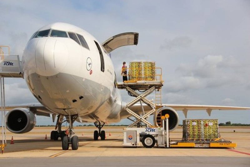 Cargo a329