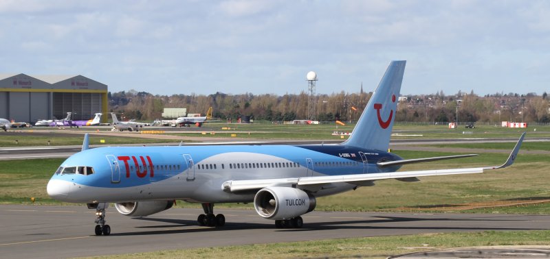 Thomson 757 Birdstrike