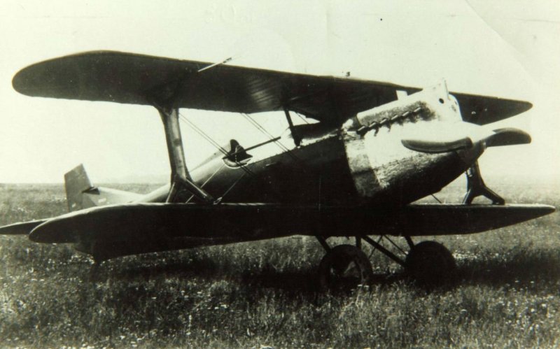Истребитель биплан и-1 Григоровича