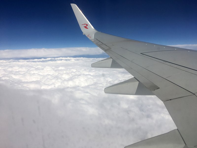 Боинг 737 крыло