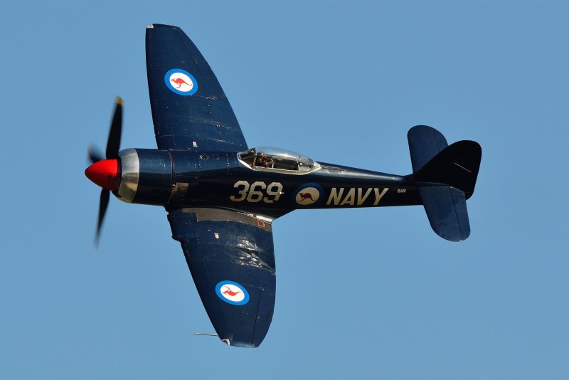 Hawker Sea Fury 1:33
