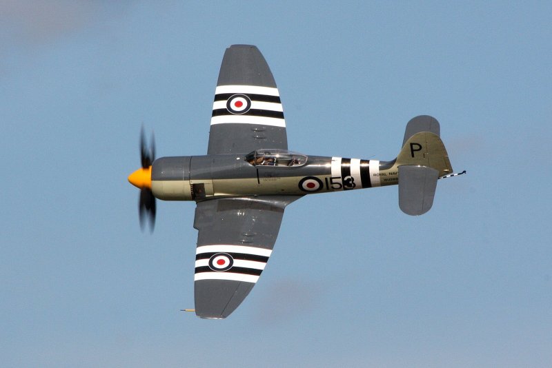 Hawker Sea Fury т 61