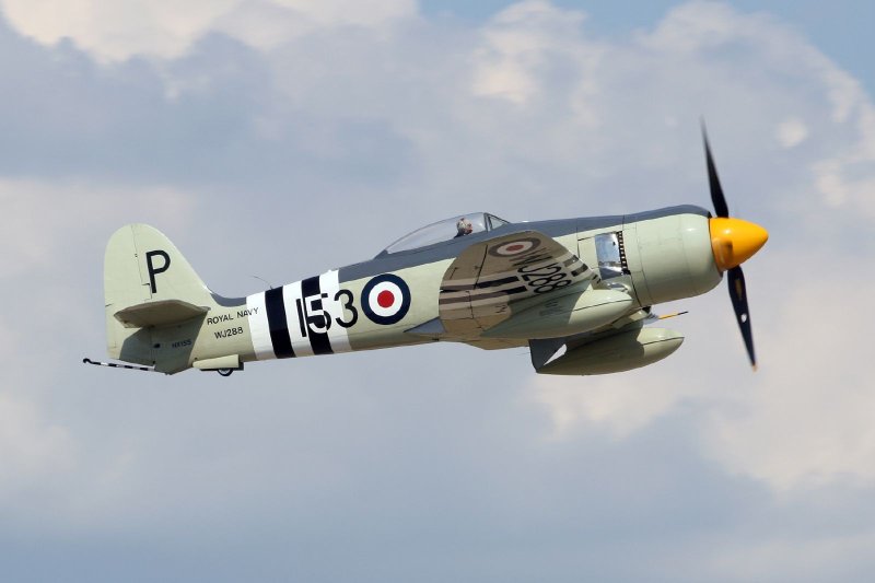 Hawker Sea Fury fb.11 камуфляж