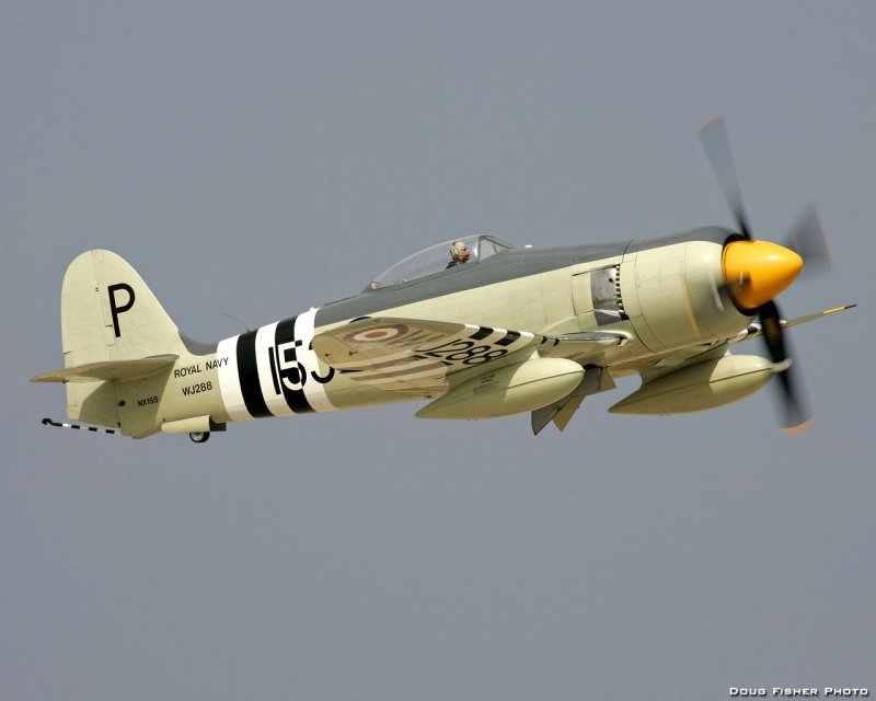 Hawker Sea Fury WJ 232
