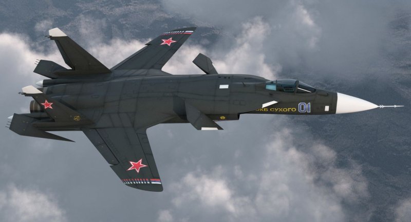 Самолет с обратной стреловидностью крыла Су-47