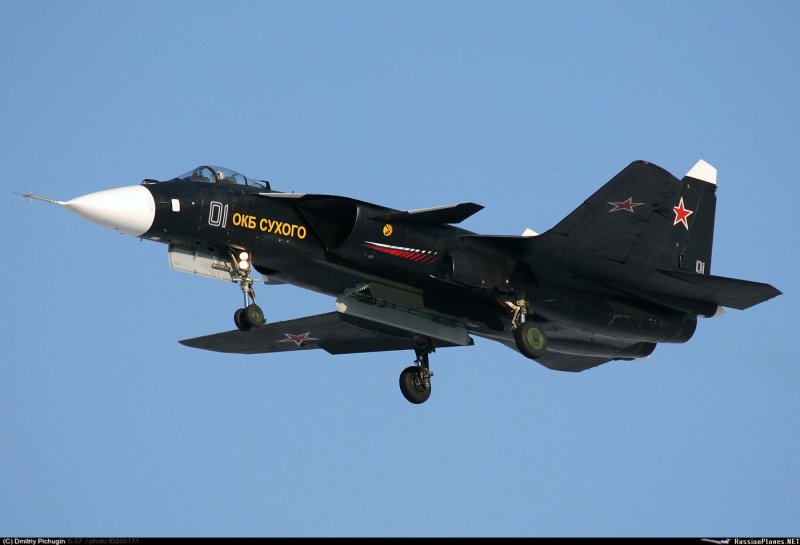 Самолет с обратной стреловидностью крыла Су-47