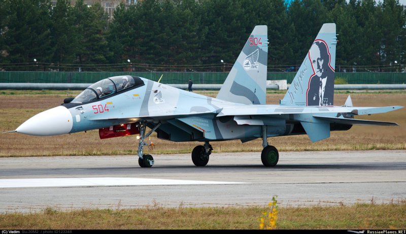Су-30мк борт 504