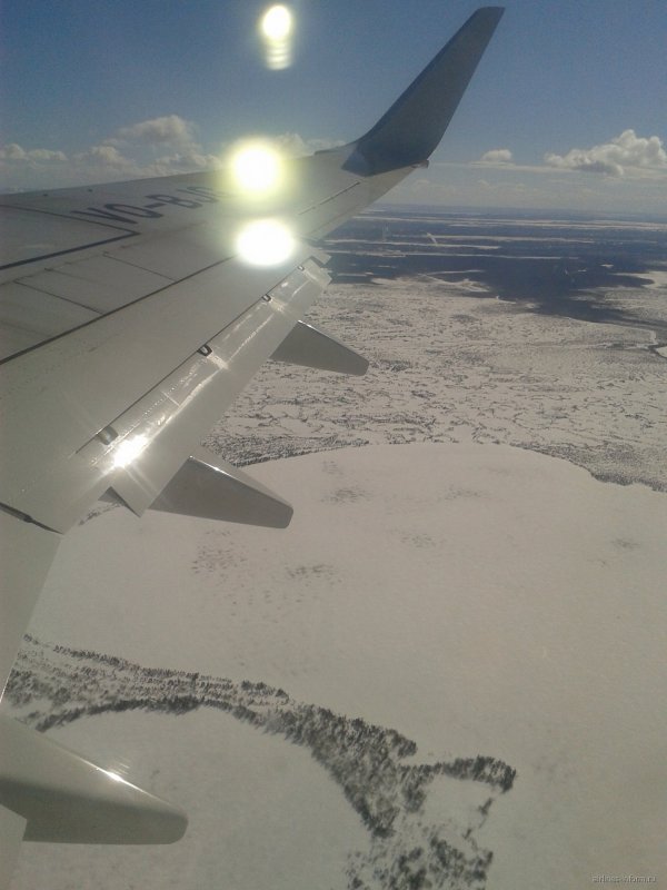 Москва Сургут